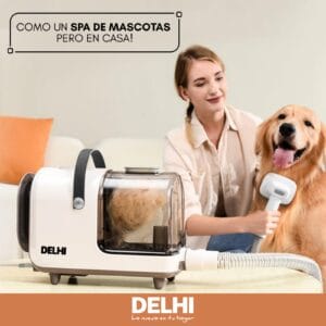 Hogar img 20250915 wa0025